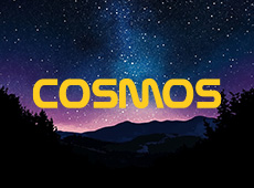 Cosmos